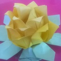 Master Class „váza a technika origami -MODULAR”