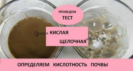 talaj deoxidaláshoz rugó (talaj deoxidaláshoz végezzük tavasszal) Dezoxidálásból talaj tavasszal