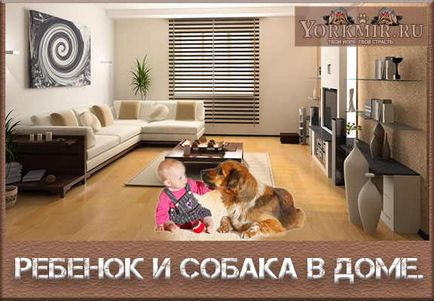 A gyermek és egy kutya a házban, a legjobb kutya számára otthon és a gyermekek