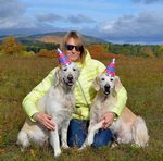 Boldog születésnapot, kedvenc kutya! Canine hétköznap - kutya Bajkál régió