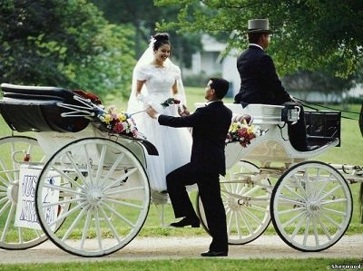 Esküvői szolgáltatások, mint az üzleti (2017)
