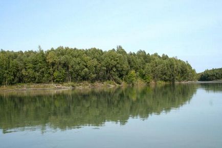 Jellemzői a fő paraméterei a folyók