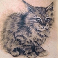 Jelentés tetoválás macska
