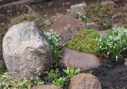 Alpesi hegyek megtekintés