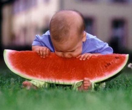 Az étkezési, görögdinnye