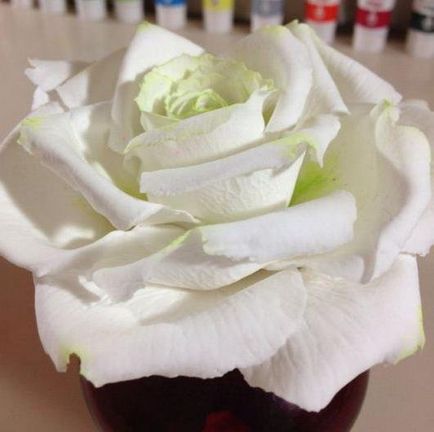 Hideg porcelán virágok mesterkurzust