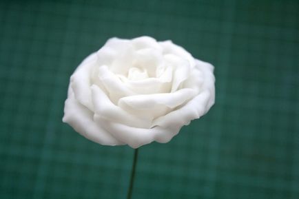 Hideg porcelán virágok mesterkurzust
