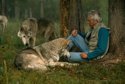 Mik félnek a farkasoktól