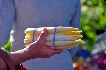 Asparagus, amelyből készítik Asparagus, amelyből készítik