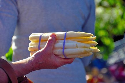 Asparagus, amelyből készítik