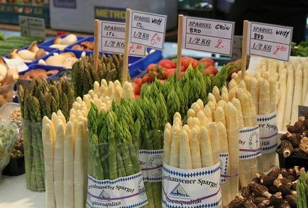 Asparagus, amelyből készítik Asparagus, amelyből készítik