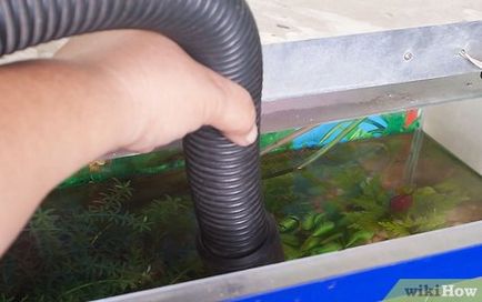 Milyen gyakran tisztítsa meg az akvárium