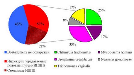 Ezért cystitis