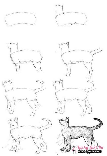Ceruzarajz macska