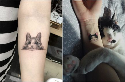 20 eredeti ötletek „macska” tetoválás