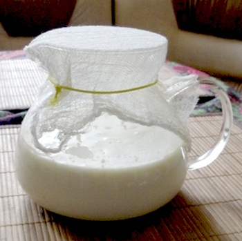 Hogyan kell tárolni a tej gomba