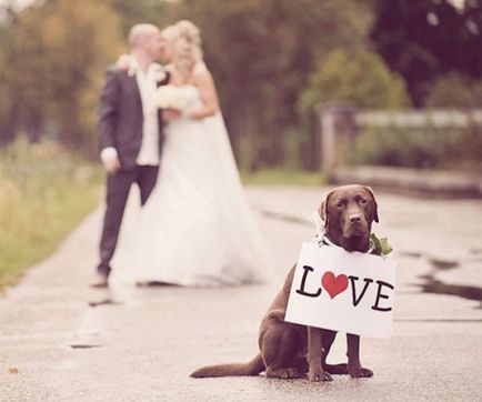 10 Opciók az esküvői fotózásra kellékek