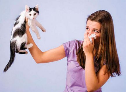 Az allergiás nátha és annak kezelése a népi jogorvoslatok