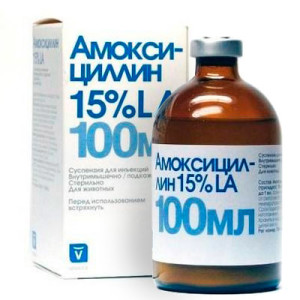 Az amoxicillin dózis a macskák és instrukitsiya használatára antibiotikum