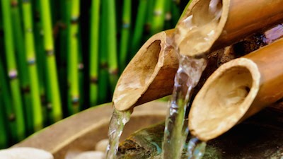 Bamboo mint ígéretes modern anyag, tulajdonságai