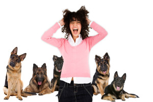 Félelem a kutyák (cynophobia) okai, tünetei és kezelése