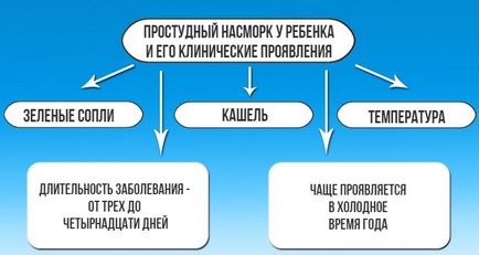 A zöld takony kezelésére egy gyermek - biztonságos a gyermekek számára cseppek és eszköz (takony) A zöld takony kezelésére egy gyermek - biztonságos csepp gyerekeknek eszközök