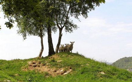 Montenegro - nyaralás, időjárás, áttekintésre, képek (Montenegró) Montenegro - nyaralás, időjárás, vélemények, fotók