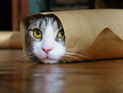 Mi van, ha Shawarma 1