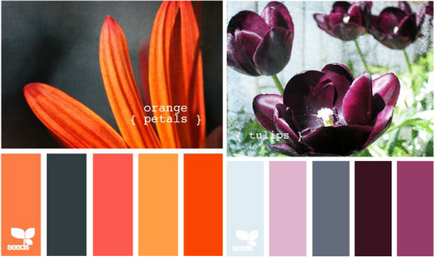 Színkontraszt, lookcolor (kontrasztok) Színkontraszt, lookcolor