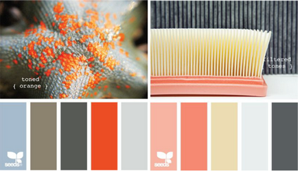 Színkontraszt, lookcolor (lookcolor) Színkontraszt, lookcolor