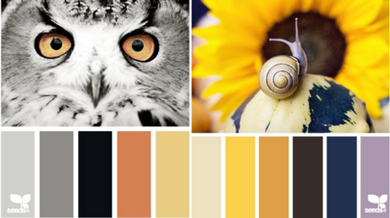 Színkontraszt, lookcolor (szín) Színkontraszt, lookcolor