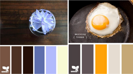 Színkontraszt, lookcolor (lookcolor) Színkontraszt, lookcolor