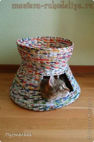 Kis ház egy macska újságokból