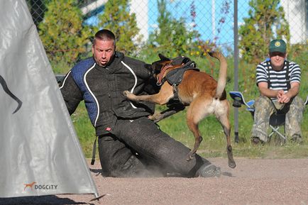 Képzés kutyák és kölykök Moszkvában