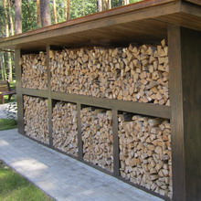 Woodshed az országban a kezüket egy fényképet, és hogyan kell építeni egy woodshed