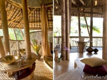 Eco-anyagok a bambusz házak (10 fotó)