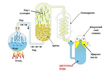 Hydrolat otthon - főzés technológia fotók