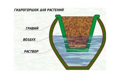 Hydroponics virágok és zöldségek a kezét, egy teljes útmutató kezdőknek