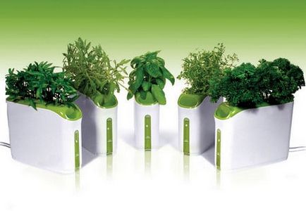 Hydroponics virágok és zöldségek a kezét, egy teljes útmutató kezdőknek