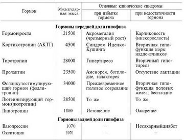 Mely hormonok az agyalapi mirigy - lady citytile (hipofízis) Mely hormonok az agyalapi mirigy - hölgy citytile