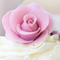 Milyen szépen díszíteni egy tortát vajkrém, hogyan lehet rózsa és virágok olaj krém receptje