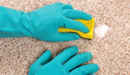 Hogyan tisztítsa meg a szőnyeget otthon áttekintést a legjobb módja, hogy