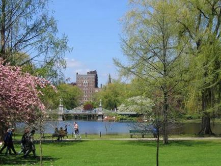 Hogyan építsünk a tökéletes park