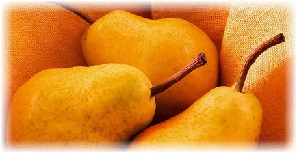 Hogyan táplálkoznak az izzó tavasszal (körte) Hogyan táplálkoznak az izzó tavasszal