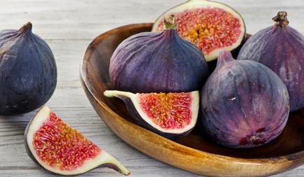 Hogyan növekszik a magok füge otthon (fák és cserjék) Hogyan növekszik a magok füge otthon