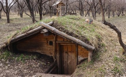 Hogyan, hogy a pincében a kezüket az országban - a fajta és a megfelelő eszközt