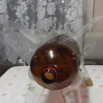 Hogyan készítsünk egy disznó műanyag palackok a kertben és a kert (sertés) Hogyan készítsünk egy disznó műanyag palackok a kertben és a kert