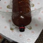 Hogyan készítsünk egy disznó műanyag palackok a kertben és a kert (üveg) Hogyan készítsünk egy disznó műanyag palackok a kertben és a kert