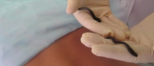 Hogyan lehet fenntartani az egészséges testsúlyt után fogyás és tartsa örökre egy normál (fogyás) Hogyan lehet fenntartani az egészséges testsúlyt után fogyás és tartsa minden norma
