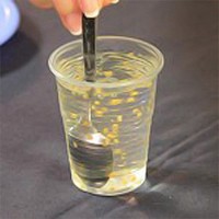 Mint sperma megtermékenyíti petesejt sajátos felfogása (spermium) Mivel a sperma megtermékenyíti a tojás sajátos felfogása